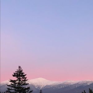 Meet your Posher, Alden